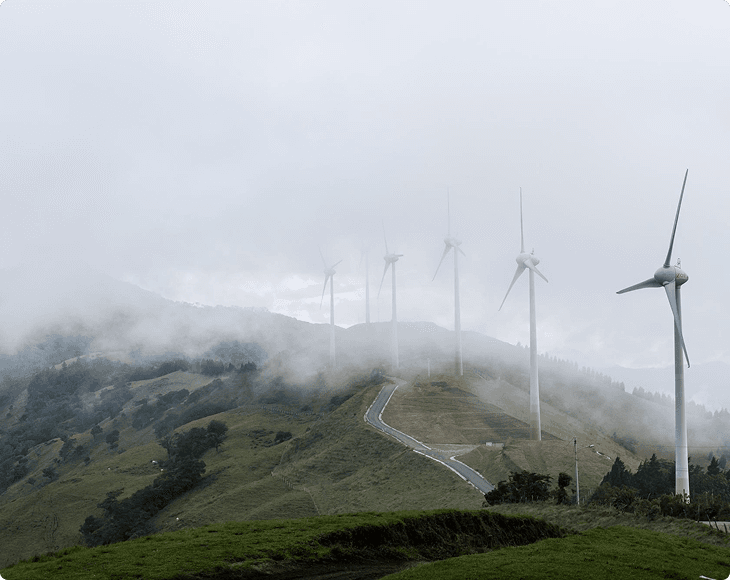 Technology, software and digital platforms